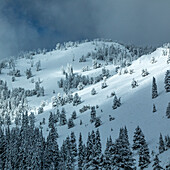 USA, Idaho, Ketchum, Berglandschaft und Wald im Winter