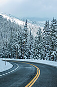 USA, Idaho, Ketchum, Straße durch den Winterwald
