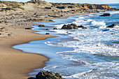 United States, California, San Simeon, Elephants Seals sunbathing on beach