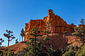 Vereinigte Staaten, Utah, Bryce-Canyon-Nationalpark, Hoodoo-Felsformationen