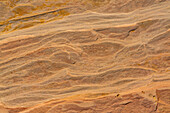 United States, Utah, Escalante, Sandstone texture in slot canyon wall