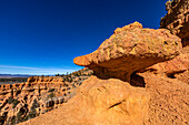 United States, Utah, Bryce Canyon National Park, Hoodoo rock formations in canyon