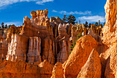 Vereinigte Staaten, Utah, Bryce Canyon National Park, Hoodoo Felsformationen im Canyon