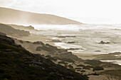 South Africa, Western Cape, Rocky coastline in Lekkerwater Nature Reserve