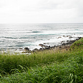 United States, Hawaii, Maui, Sea coast, lookout for surfers