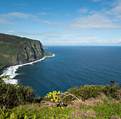 United States, Hawaii, Big Island, Wai Pio, Black sand beach with cliffs