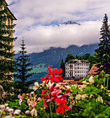 View from the waterfall bridge in Bad Gastein to the Gasteinertal and to the summit of the Radhausberg massif in the morning, Salzburg state, Austria