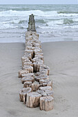 Blick auf Holzpfähle als Wellenbrecher an einem wilden Strand, Podelta, Venetien, Italien, Europa