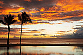 Palmen, die sich gegen rote Wolken abheben, spiegeln sich bei Sonnenuntergang über einem Strand in Flic en Flac, Mauritius, Indischer Ozean, Afrika in einem Infinity-Pool wider