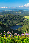 View from Seebuck peak at Feldberg Mountain on Feldsee Lake, Black Forest, Baden-Wurttemberg, Germany, Europe