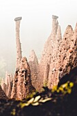 Conical rock pillars of the earth pyramids emerging from fog, Renon (Ritten), Bolzano, South Tyrol, Italy, Europe