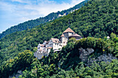 Schloss Vaduz, Vaduz, Liechtenstein, Europa
