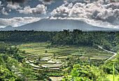 Reisterrassen und Felder mit dem Vulkan Gunung Agung im Hintergrund, umgeben von Wolken, Bali, Indonesien, Südostasien, Asien