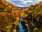 A river surrounded with autumn colors in Jikha, Samegrelo, Georgia (Sakartvelo), Central Asia, Asia
