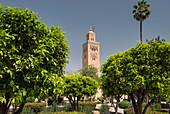 Koutoubia Mosque, UNESCO World Heritage Site, from Koutoubia Gardens, Marrakesh, Morocco, North Africa, Africa