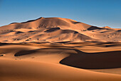 Sanddünen in den Dünen der Wüste Erg Chebbi, Westsahara, Marokko, Nordafrika, Afrika
