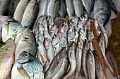 Nahaufnahme von Fischen am Fischmarkt