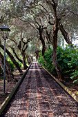 Öffentliche Gartenweg, Taormina, Sizilien, Italien