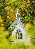 Church and Steeple surrounded by Autumn Foliage