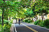 West Side Bicycle Lanes, New York City, New York, USA