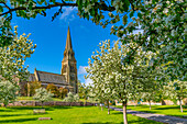 Blick auf St. Peter's Church und Frühlingsblüte, Edensor Village, Chatsworth Park, Bakewell, Derbyshire, England, Vereinigtes Königreich, Europa