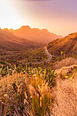 Blick auf Straße und Flora in bergiger Landschaft während der goldenen Stunde in der Nähe von Tasarte, Gran Canaria, Kanarische Inseln, Spanien, Atlantik, Europa
