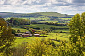 View from Shaftesbury over Cranborne Chase AONB (Area of Outstanding Natural Beauty) scenery to Melbury Beacon, Shaftesbury, Dorset, England, United Kingdom, Europe
