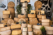 Cheese on display at local market, Les Landes, Nouvelle-Aquitaine, France, Europe