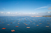 Fischfarm, Drohnen-Panoramablick, im Atlantischen Ozean, Insel Arousa, Galizien, Spanien, Europa