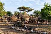 Traditionelle Dorfhütten des Stammes Toposa, Eastern Equatoria, Südsudan, Afrika