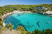 Blick über das türkisfarbene Wasser der Cala Macarella zum von Pinien gesäumten Sandstrand, Cala Galdana, Menorca, Balearen, Spanien, Mittelmeer, Europa