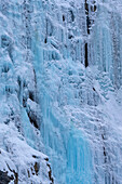 Weinende Wand auf Cirrus Mountain im Winter im Banff National Park, Alberta, Kanada.