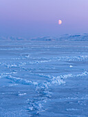 Mond über der zugefrorenen Diskobucht im Winter, Westgrönland, Diskoinsel im Hintergrund. Grönland, Dänemark