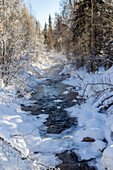 USA, Alaska. Bach und bereifte Bäume im Winter.