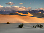 USA, Kalifornien. Death Valley National Park, Mesquite Flats Sanddünen, wehender Sand.