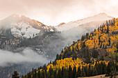 Autumn, aspen trees, mist, and mountain slope at sunrise, from Million Dollar Highway near Crystal Lake, Ouray, Colorado