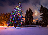 Erstaunliches Abendlicht und Weihnachtsbeleuchtung auf dem Golfplatz Whitefish Lake in Whitefish, Montana