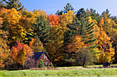 Kleines Gebäude und Herbstfarben, New Hampshire