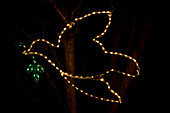 USA, North Carolina, Belmont, Daniel Stowe Botanical Gardens, Peace dove in Christmas lights