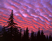 USA, Oregon, Three Sisters Wilderness, lebendige Farben des Sonnenuntergangs, der Wolken über dem Wald malt