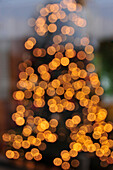 USA, Oregon, Portland. Abstract of lights on holiday Christmas tree
