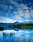 USA, Oregon, Deschutes National Forest, South Sister reflects in Sparks Lake