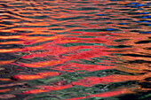Der Rogue River fließt und nimmt die reflektierenden Farben des Herbstes auf