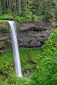 USA, Oregon. Silver Falls State Park, spring flow of South Fork Silver Creek plunges 177 feet at South Falls.
