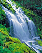 USA, Oregon, Proxy Falls. Proxy Falls cascades down a mossy green slope in the Cascades Range in Oregon.