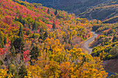 USA, Utah, Uinta National Forest. Landschaft mit Nebo Loop Road