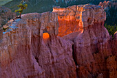 USA, Utah, Bryce-Canyon-Nationalpark. Erstes Licht auf die Hoodoos am Sunrise Point, Bryce Canyon National Park