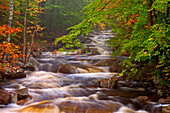 USA, Vermont, East Arlington, Flowing streams along the Appalachian Trail