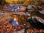 Herbstliche Ruhe in Upper Whiteoak Falls, Shenandoah National Park, VA.