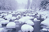 N.A., USA, Washington, Cascade Mountains,  Fresh snow along Denny Creek